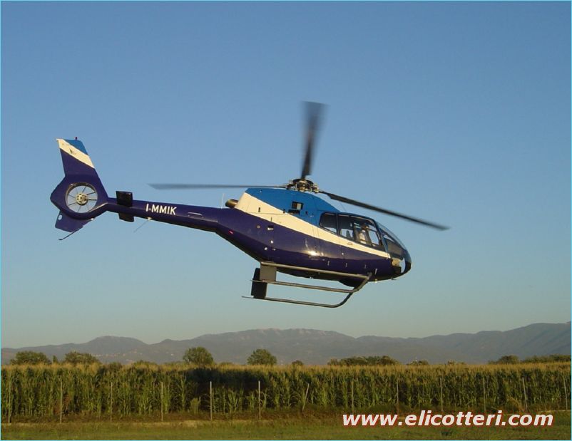 elifoto (3)